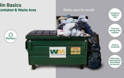 Waste Management (WM) – Emergence From Accounting Scandal to Top Trash Processor